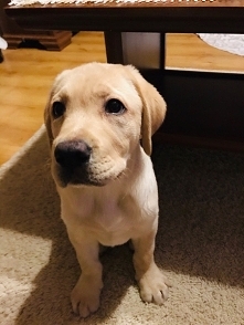 Słoneczko moje !!! ❤️❤️❤️