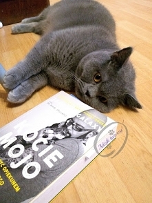 Jak żyć z kociakiem tak, by i zwierzak, i opiekun byli zadowoleni? Książka "Kocie mojo" autorstwa J.Galaxy to lektura obowiązkowa dla każdego prawdziwego kociarza, a t...