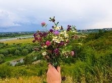 Kwiaty polne, zawsze najpiękniejsze, jeszcze z takim tłem. Widok z Gór Pieprzowych na Wisłę i Sandomierz

Zapraszam na instagram => @nieidentyczna