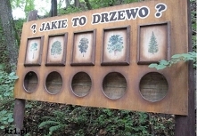 Druga część wizyty w sierpeckim skansenie.