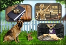 ONZ pyta polski rząd o dyscyplinarkę sędzi. Amnesty International: sytuacja bez precedensu 
Po raz kolejny polski rząd krytykują poważane instytucje międzynarodowe za tak zwaną ...