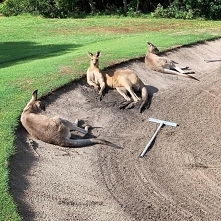 Przerwa w trakcie pracy.