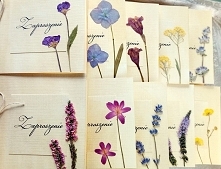 Zaproszenia ślubne suszone kwiaty