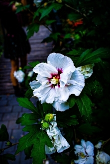  Zacznijmy od  tego że relacje z ludźmi są dla większości ludzi trudnym tematem. Dla jednych  znalezienie przyjaciół może być łatwe dla innych może być naprawdę trudne.  Chyba ż...