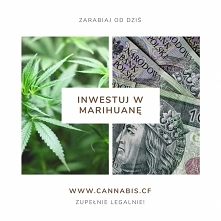 Jak legalnie inwestowac w Marihuanę?