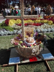 "Kto chlebem gardzi, to nim Pan Bóg bardziej"