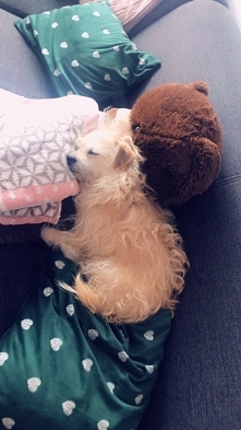 Jak ja mam jej nie kochać co ? Moja najsłodsza ❤️