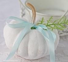 Dynia pomalowana na biało farbą.