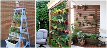 15 przepięknych wertykalnych ogrodów do małego ogrodu