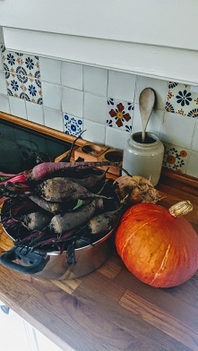 Panie Buraku,co z pana za burak