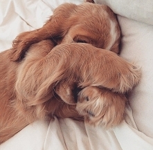 Ludziu, znowu te zdjecia ;)