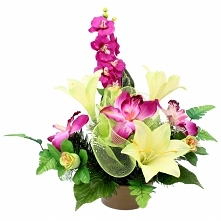 Sprawdź wszystkie modele w naszej hurtowni stacjonarnej i skorzystać z rabatu 10%