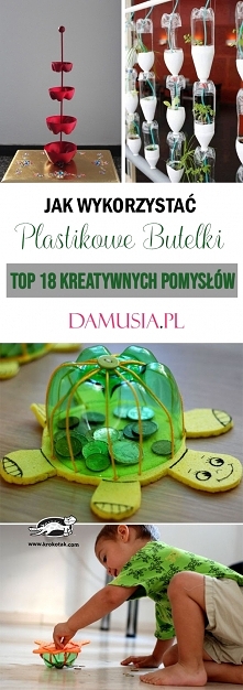 Jak Wykorzystać Plastikowe ...