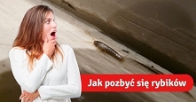 Nowy sposób na pozbycie się rybików z łazienki. Wypróbuj go!