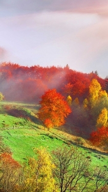 Jesień gdzie jesteś....? Daleko i blisko lecz u mnie Cię brak....