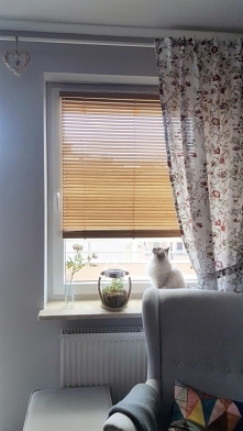 Żaluzja bambusowa 25mm w kolorze Graham, zamontowana pod wywietrznikiem.

Zdjęcie dostaliśmy od naszego klienta, Pana Jarosława :)

Żaluzje drewniane i bambusowe na wymiar znajd...