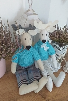 Para Łosi szuka domku. Dostępna pod nr 663 352 277.