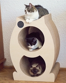 Domek-drapak dla kota Mr. P...