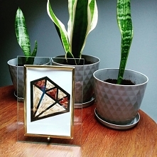 Diamencik wykonany z kwiatków od bukietu ślubnego :)

Więcej pomysłów na moim Instagramie zachęcam do obserwowania mnie :) 
Link w komentarzu.