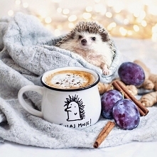 Jesienny przepis~ gorąca kawa lub czekolada ☆