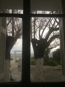 Wychodząc z domu zawsze się pożegnaj  bo nigdy nie wiadomo  czy do niego wrócisz ♡. Okno na świat.