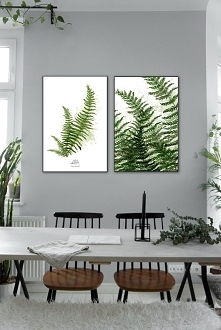 paprocie { 61x 91cm} komplet