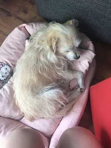 Kocham najbardziej na świcie ! ❤️