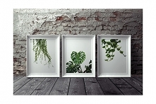 Zieleń - zestaw plakatów