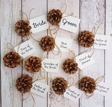 pine cone wedding place name