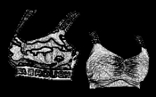 The temperature in the gym can be high, therefore the top model n223 gray will be perfect for playing the gym pace!