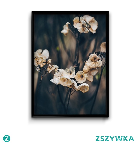 Jesienna hortensja #2