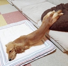 Tak wyglądam po przyjściu z pracy ;D