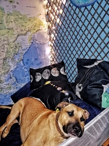 A kiedy nie ma potomka w domu.... Ja popilnuje jego łóżka :)