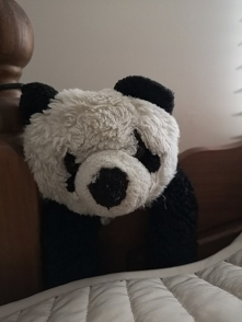 Ocierał łzy swoją pluszową łapką. Słuchał śmiechu i dziecięcej paplaniny. Nie rozstawałam się z nim na krok. Pierwszy przyjaciel wiszący na wezgłowiu łóżka do dziś :) Dzisiaj św...