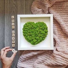 Na dobry początek tygodnia -  chrobotkowe serducho. 