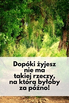 Zarabianie przez internet...