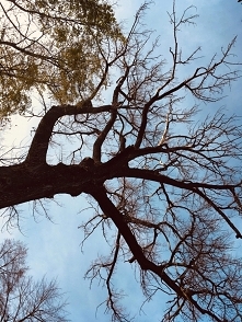 ,,Jestem muzeum pełnym dzieł sztuki ale zamknąłeś oczy''
~Rupi Kaur - Mleko i Miód