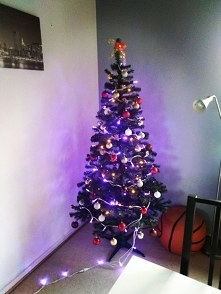 My już mamy choinkę a wy?? 