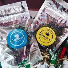 Konopny susz CBD .

To nowość na polskim rynku i na pewno duża ciekawostka dla konesera konopi.

Taki produkt można stosować na wiele sposobów.....

W Konopnej Farmacji w Poznan...