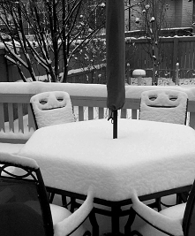 Śnieg ☆ Świat fotografii *