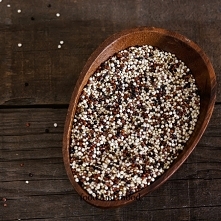 Prozdrowotne właściwości ko...