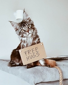 Free Hugs! Więcej na IG @iravatmco