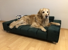 duże legowisko dla dużego psa do 30kg Wilson L od firmy 3C Tappol