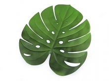 Podkładka monstera, wymiary 40x38cm, łatwa w utrzymaniu, nadaje się na balkon.