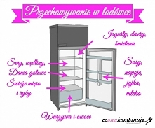 Jak zagospodarować lodówkę :)