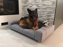 Sofa ta na pewno stanie się ulubionym miejscem do spania dla Twojego czworonoga.  Na szczególną uwagę w przypadku tego produktu zasługują wygodne podłokietniki, na których Twój ...