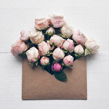 kwitnąca wiadomość ;)