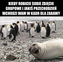 Zdjęcie grupowe