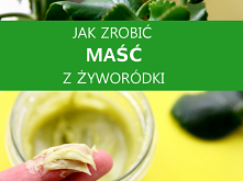 maść z żyworódki