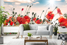 Fototapeta maki na łące, myloview.pl, nr 189875050